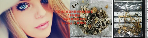 apvp Лабытнанги