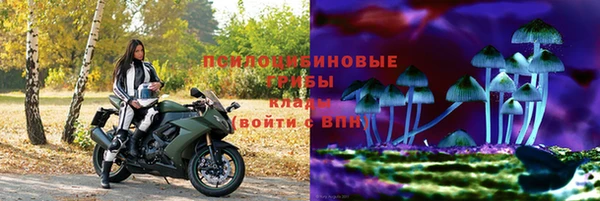apvp Лабытнанги
