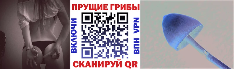 Купить где  Харабали  Псилоцибиновые грибы Magic Shrooms 